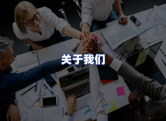 专业团队